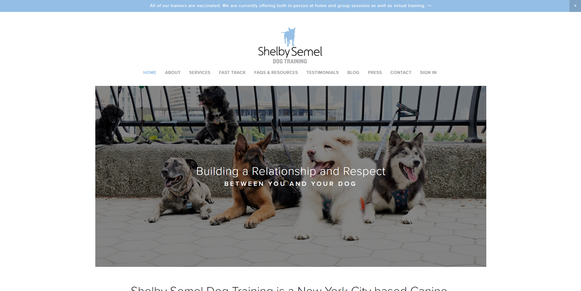 Shelby Semel Dog Training