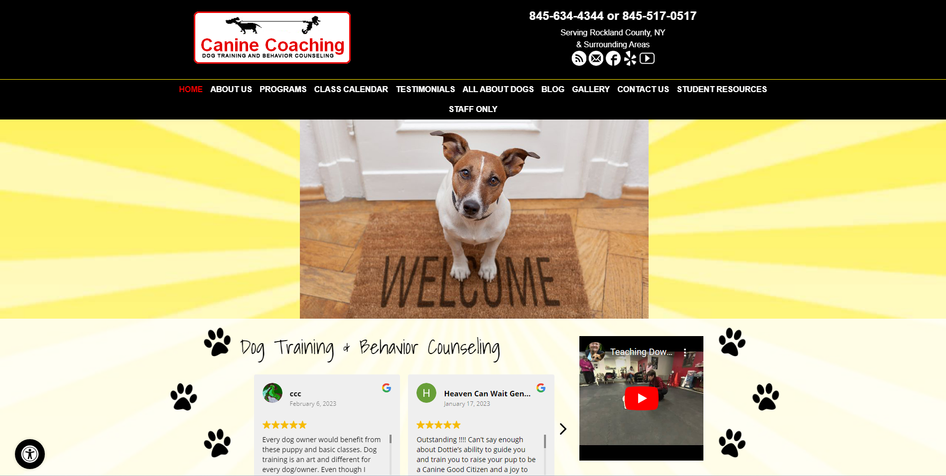 Canine Coaching