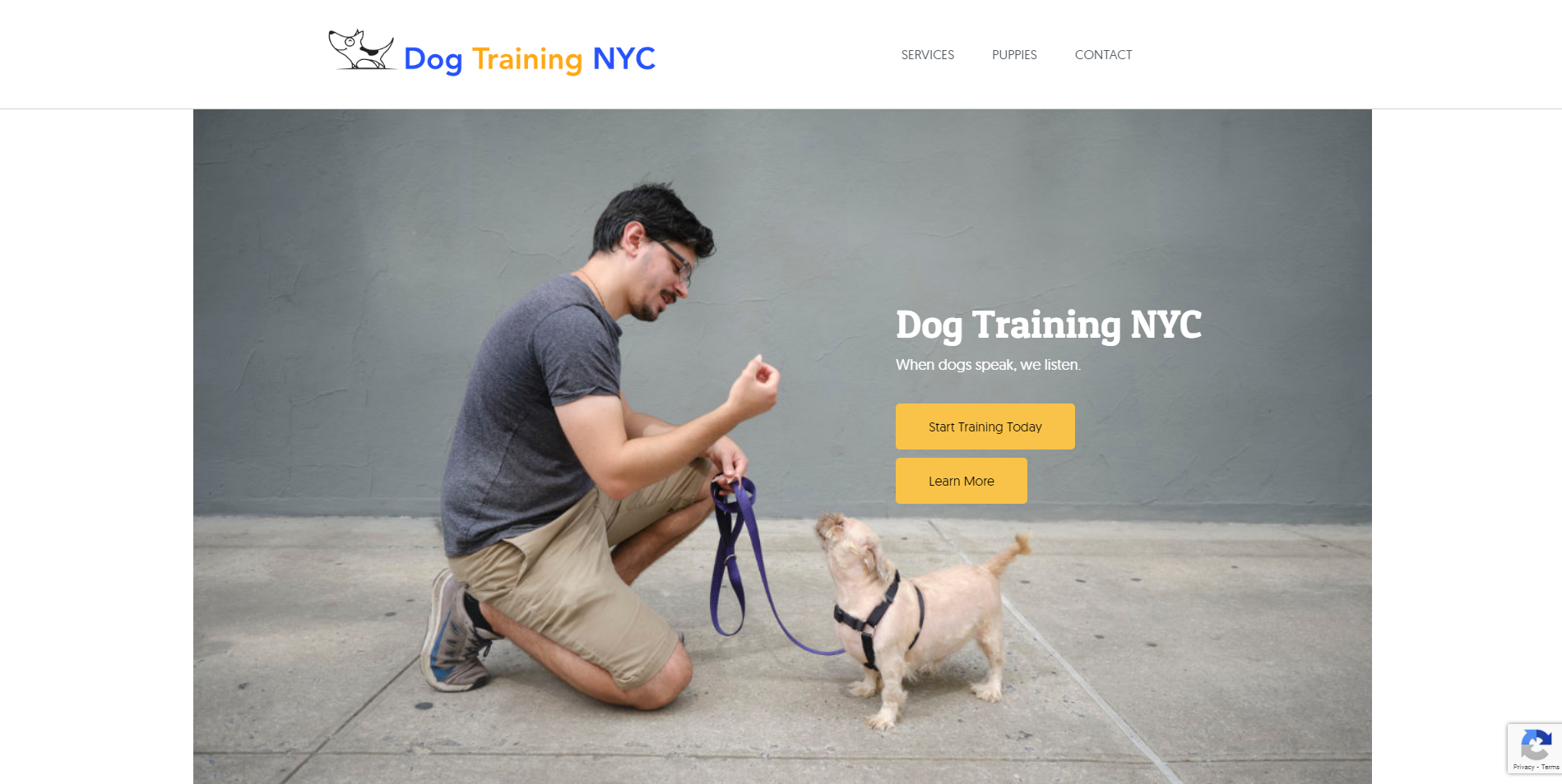 Dog Training NYC